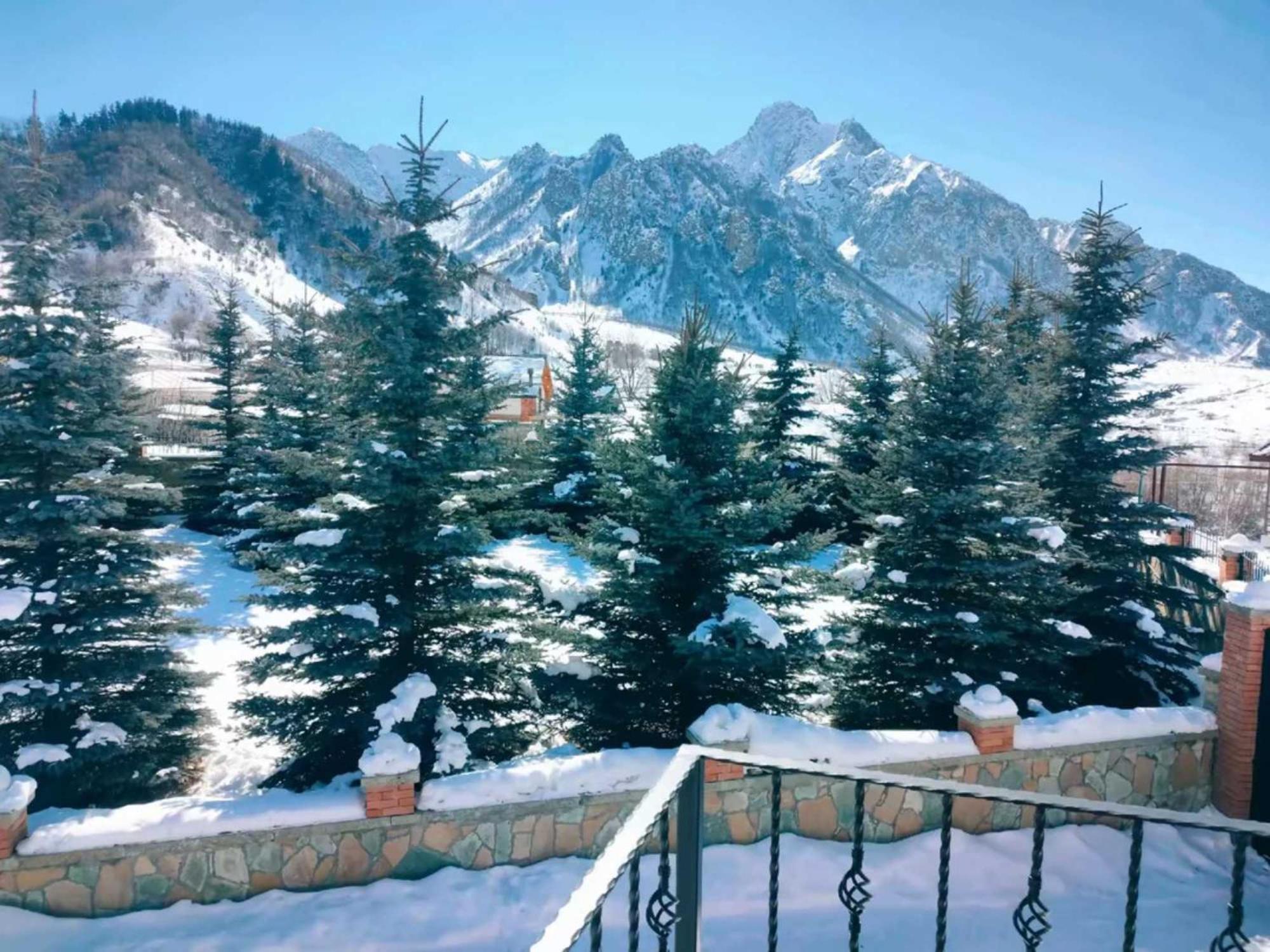 Vardisubani Villa Kasbegi Buitenkant foto