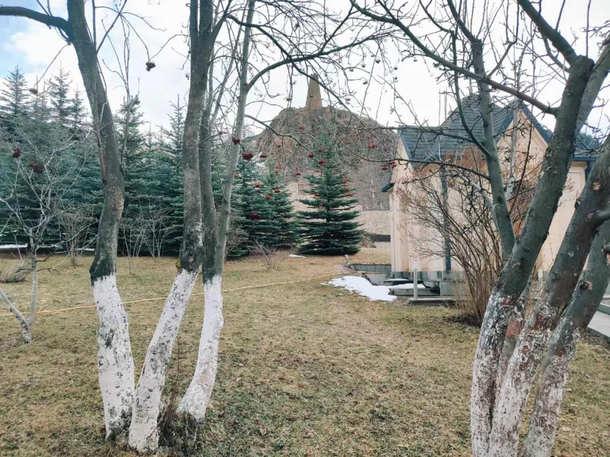 Vardisubani Villa Kasbegi Buitenkant foto