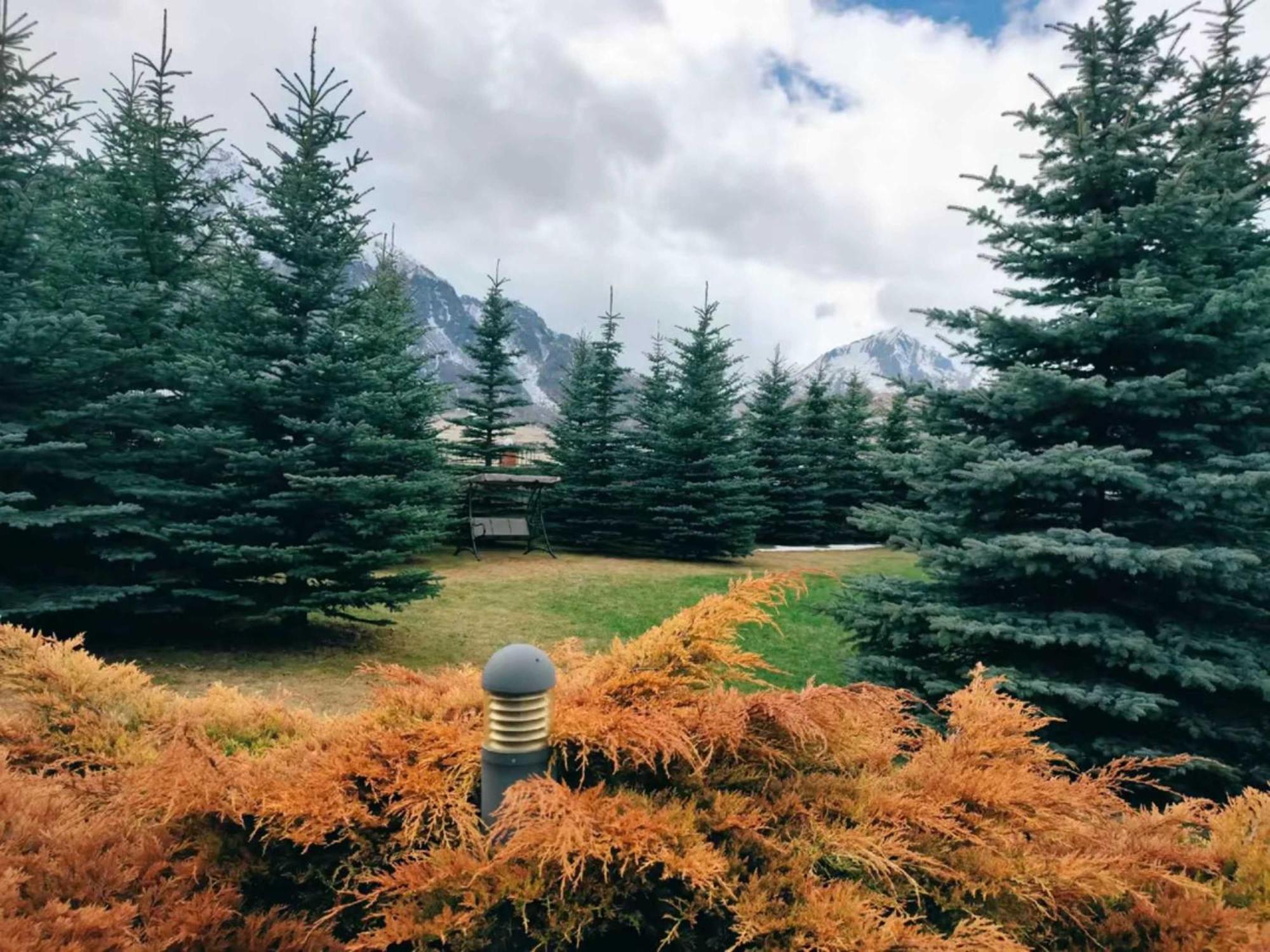 Vardisubani Villa Kasbegi Buitenkant foto