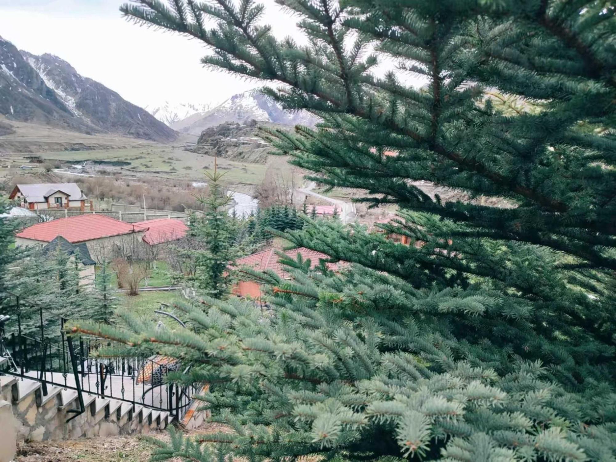 Vardisubani Villa Kasbegi Buitenkant foto